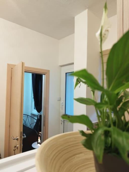 Esteticaapartments Rhodes City ภายนอก รูปภาพ